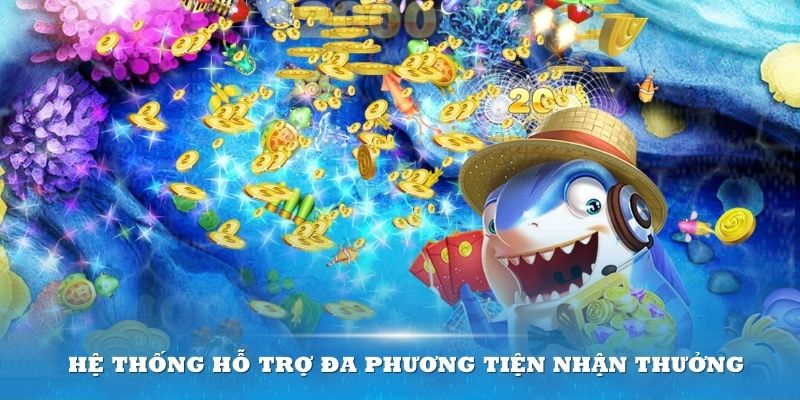 Hệ thống hỗ trợ bắn cá Xin88 đa phương tiện