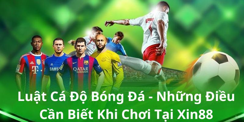 Nguyên tắc cần tuân theo trong luật cá độ bóng đá